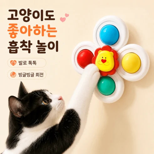 흡착식 회전 고양이 장난감 제품 사진 9